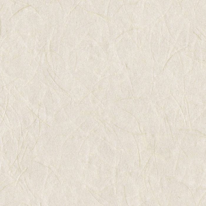 SOP3101