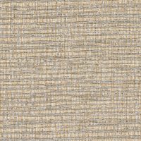 T2-BG-20