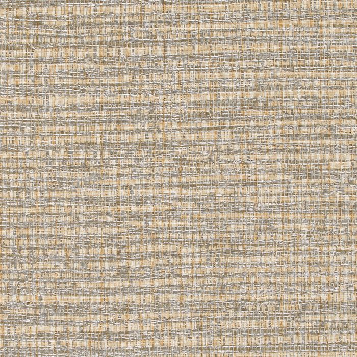 T2-BG-20