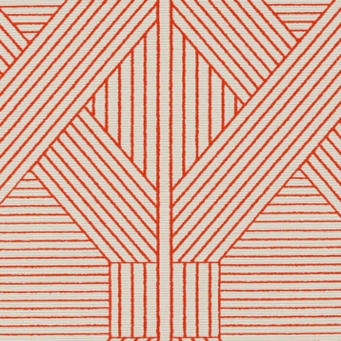 T2-MR-19