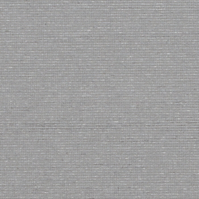 T2-MS-21