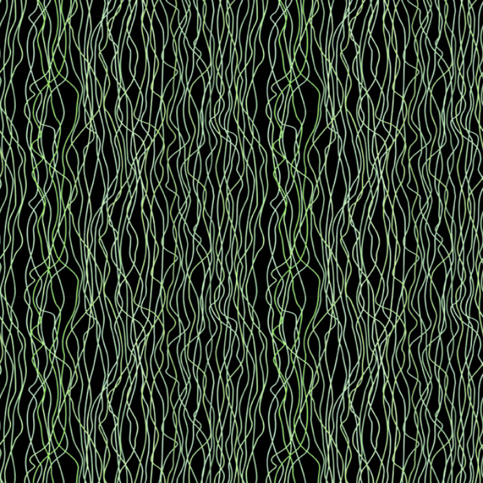 10197