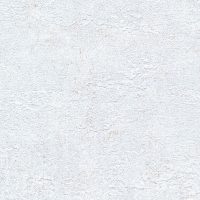 BL02-5011
