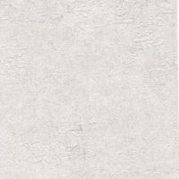 BL02-5013