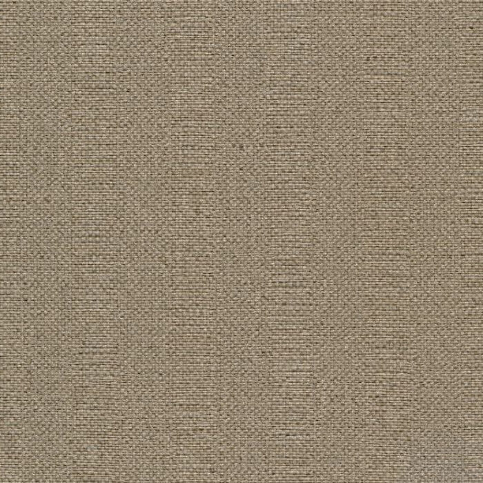 BL09-5088
