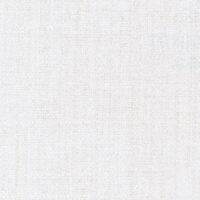 BL10-5091