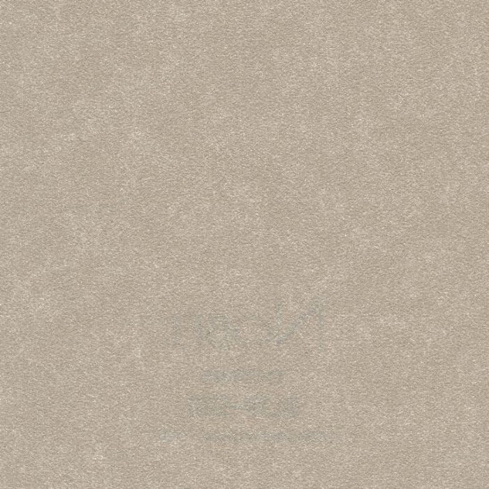 BL19-5181