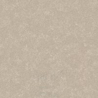 BL19-5182
