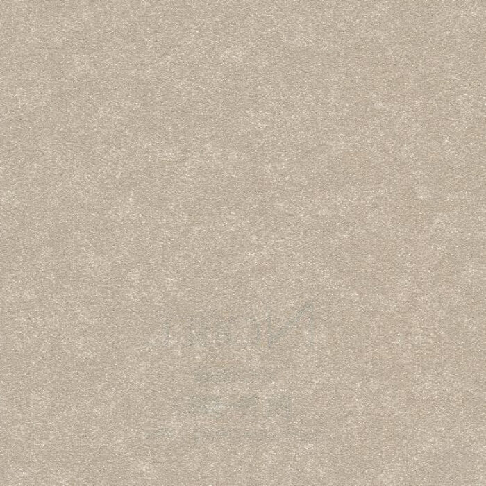 BL19-5182