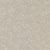 BL19-5183