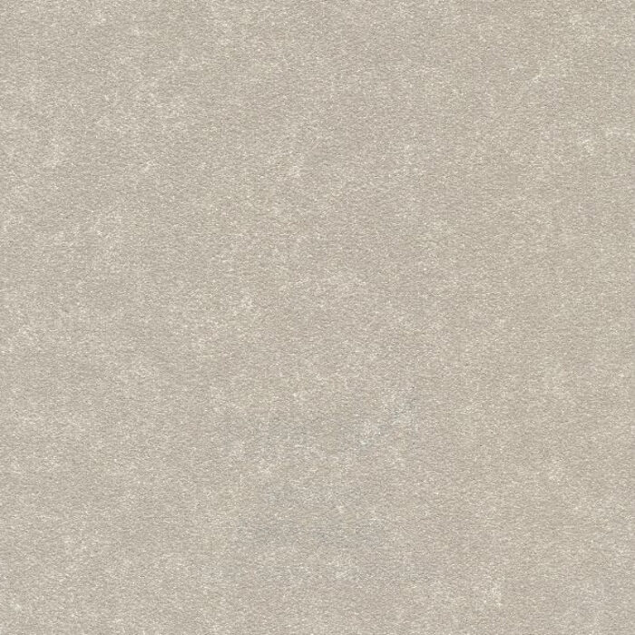 BL19-5183
