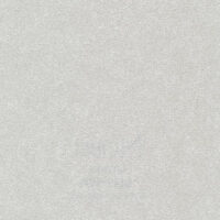 BL19-5184
