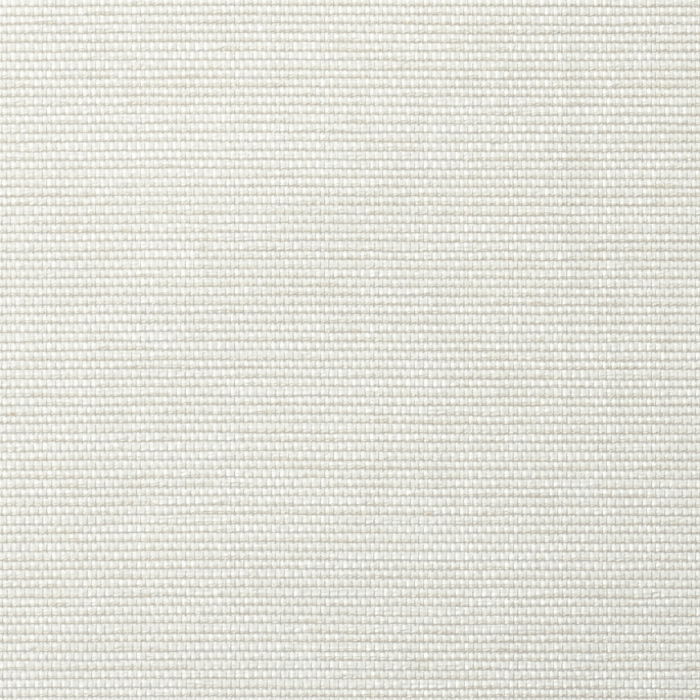 AES010
