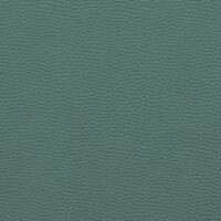 SAS003