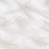S313-1107