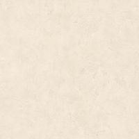PAI100221820 (R)