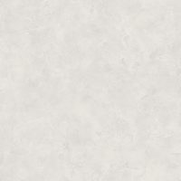 PAI100222055 (R)