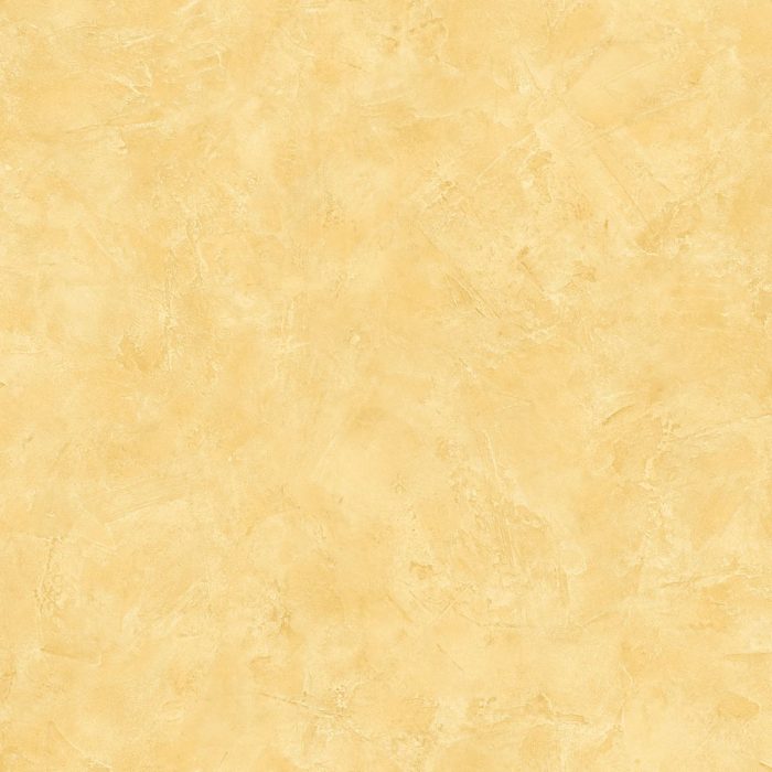PAI100222679 (R)