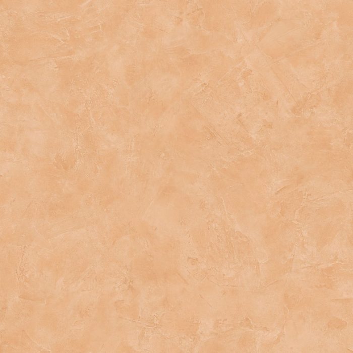 PAI100223056 (R)