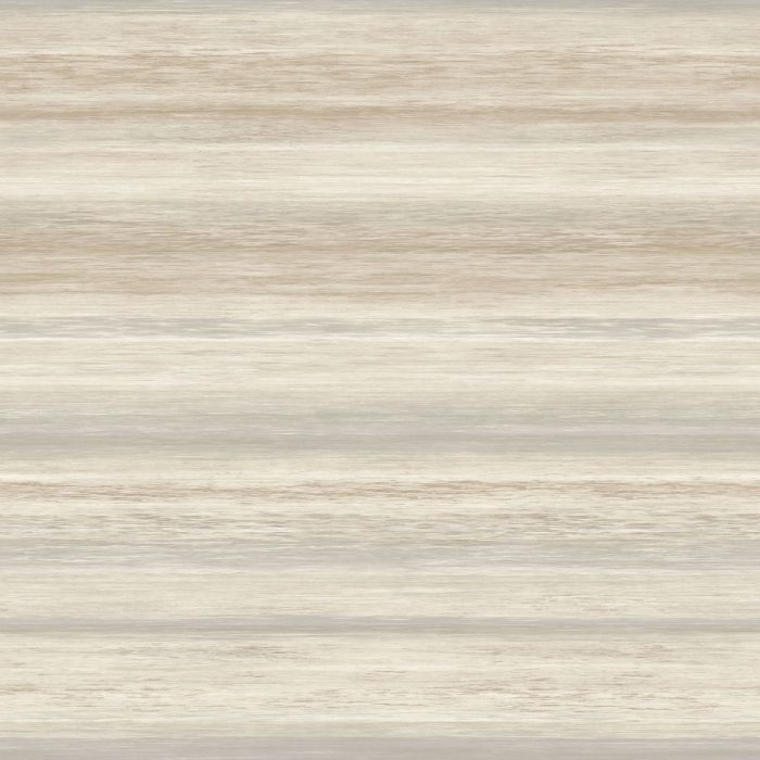 RDLS81371101 (R)