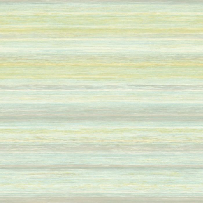 RDLS81376204 (R)