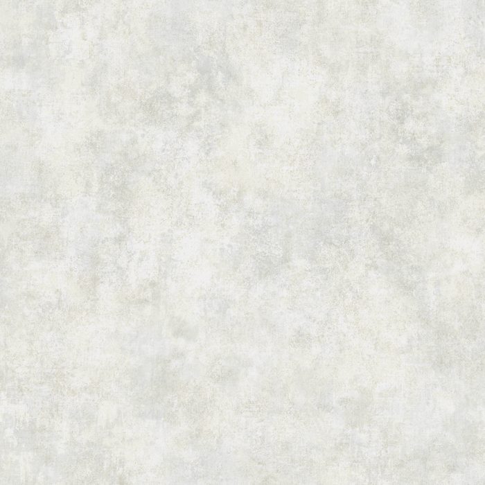 BW56207