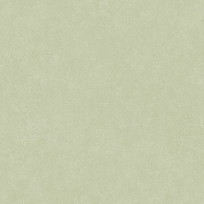 RH25924