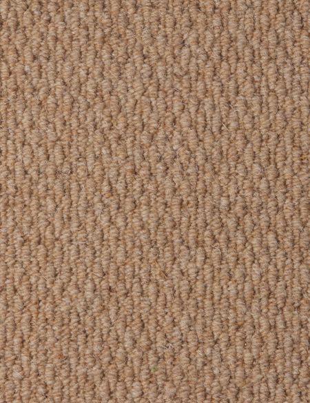 Sahara