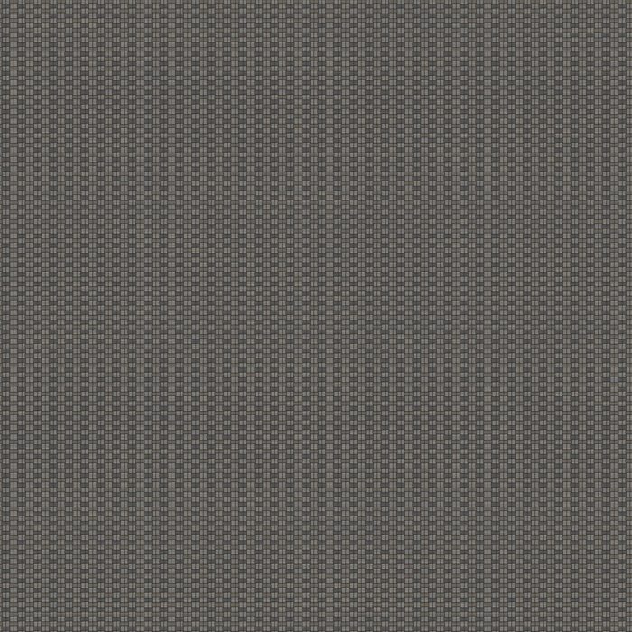 FOCL85829545