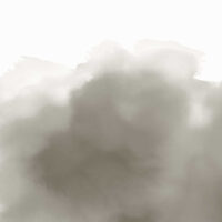 300919