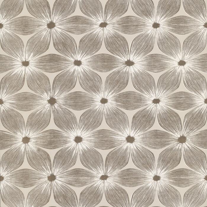 CI2304 [C]