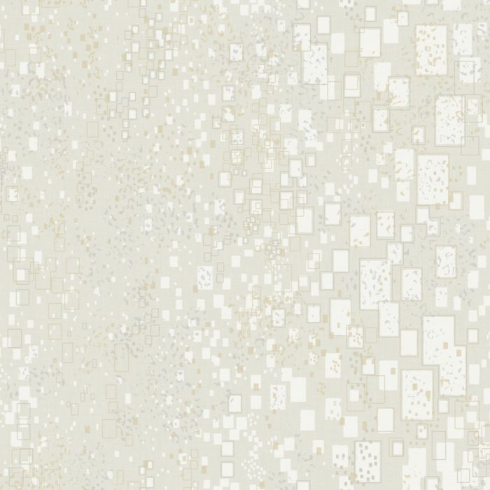 CI2323 [B]