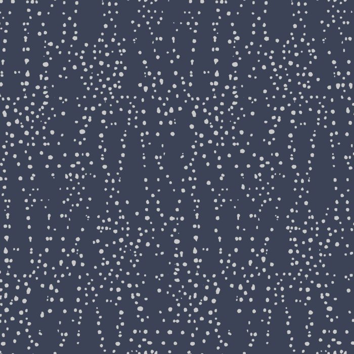 CI2355 [C]