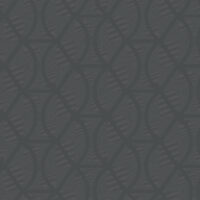 CI2383 [D]