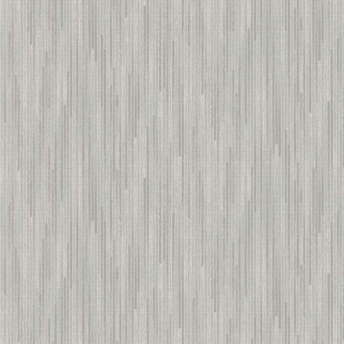 CI2401 [B]