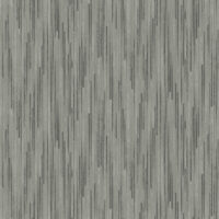 CI2402 [B]