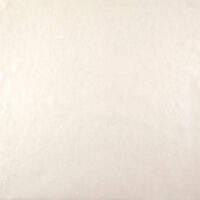 CO2084 [C]