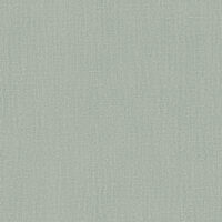 HPT309
