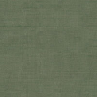 HPT408