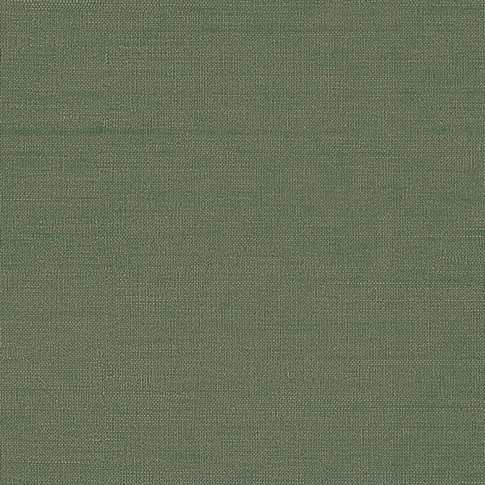 HPT408