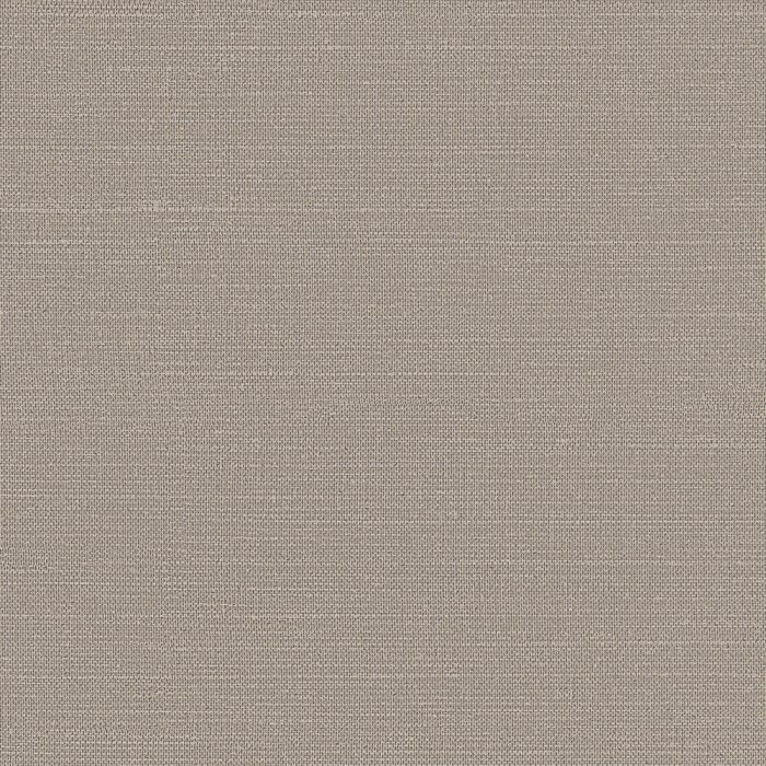 HPT409