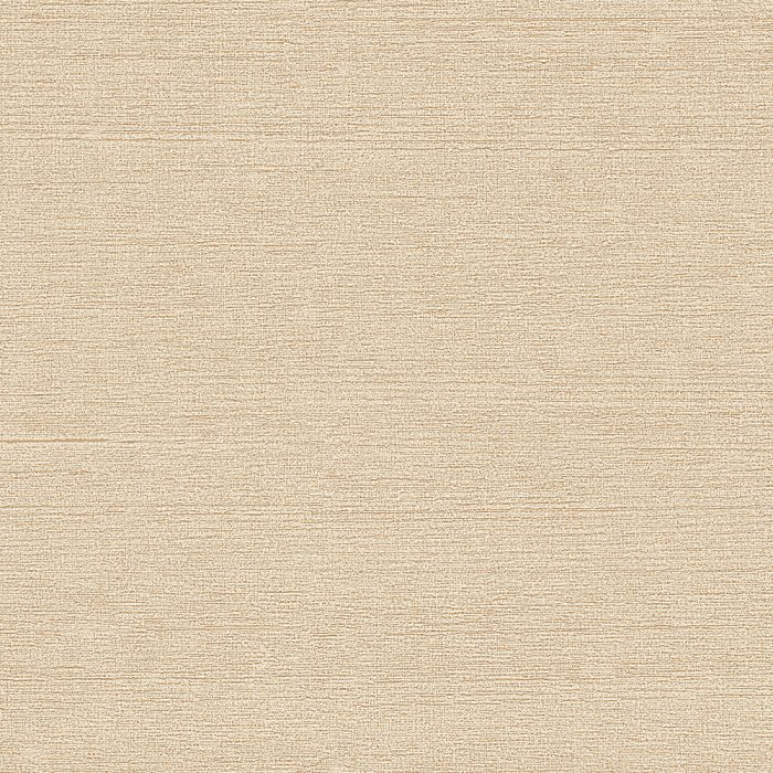 HPT604