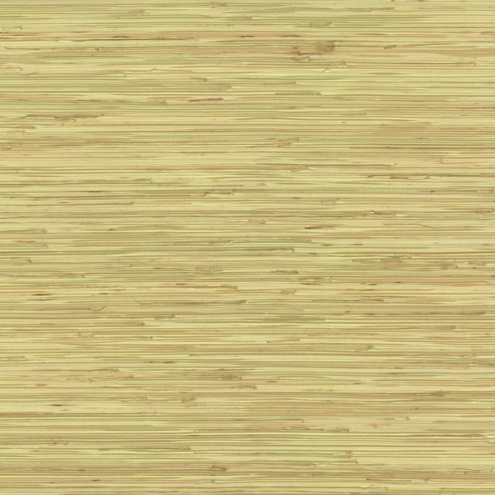 NZ0787 [D]
