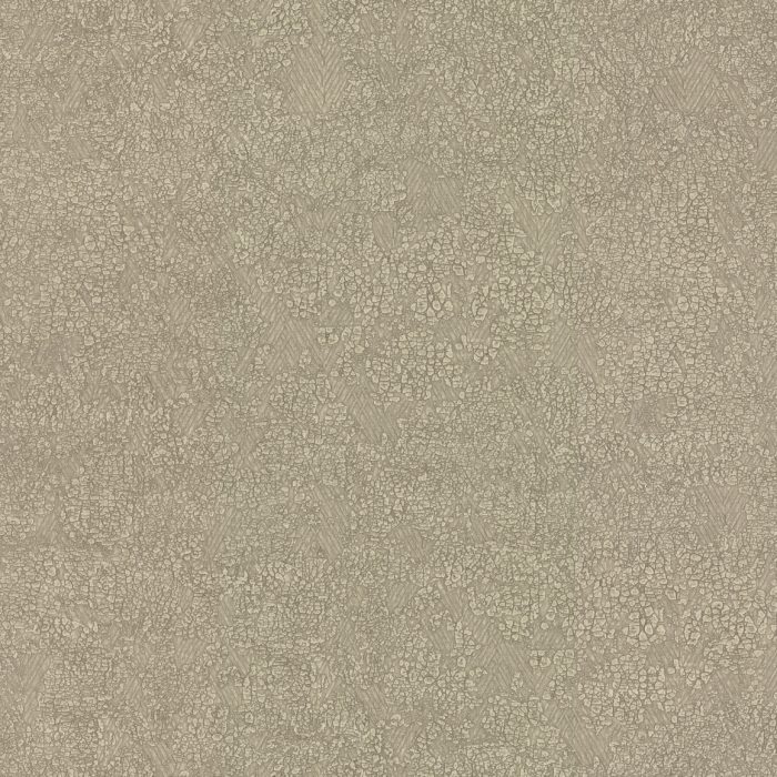 OG0508 [B]