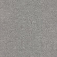 OG0509 [B]