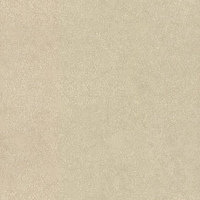 OG0510 [B]