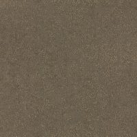 OG0513 [B]