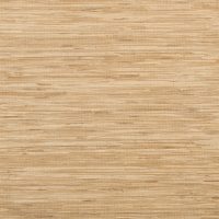RN1062LW [B]