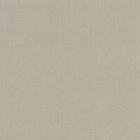 RS1004N [A]