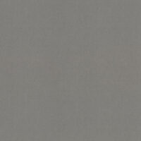 RS1005N [A]